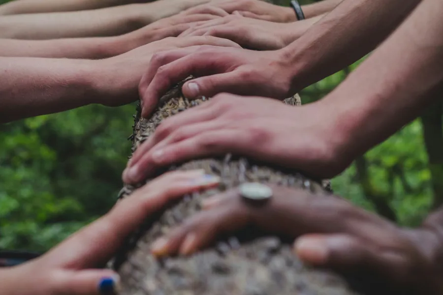 A group of hands holding a tree branch