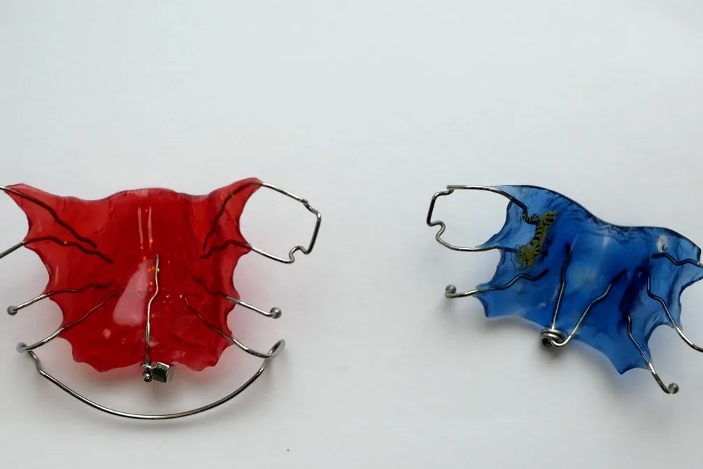 A pair of blue and red earrings